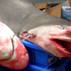 Illustration for article titled Grooveshark Will Soon Be Destroyed